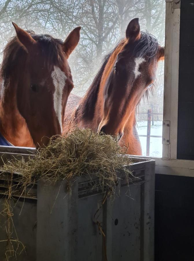 Drenths Landgoed, Lekker Uit Apartment Annerveenschekanaal Luaran gambar